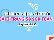 Giải bài 3 trang 58 Toán 8 Tập 1 SGK Cánh Diều